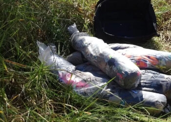Idosa mata marido com veneno de rato, o esquarteja e abandona parte do corpo em rodovia