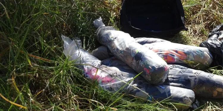 Idosa mata marido com veneno de rato, o esquarteja e abandona parte do corpo em rodovia