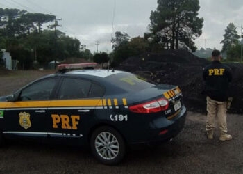 Idoso é preso após furtar material asfáltico na BR-470 para utilizar em obra particular, em Veranópolis