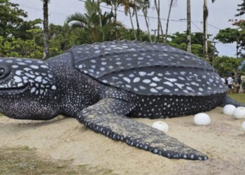 Escultura de tartaruga gigante é inaugurada no litoral do Paraná