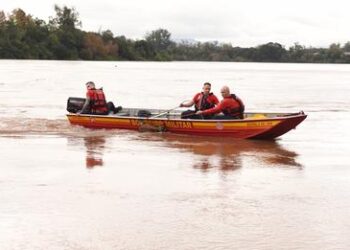 Bombeiros de Estrela resgatam vaca no Rio Taquari