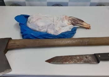 Caso de furto e receptação de ovelha é registrado em comunidade de linha Almeida em Antônio Prado”