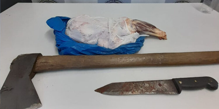 Caso de furto e receptação de ovelha é registrado em comunidade de linha Almeida em Antônio Prado”