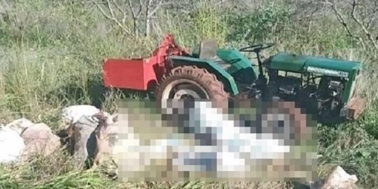 Conselho Monetário aprova medidas do Plano Safra