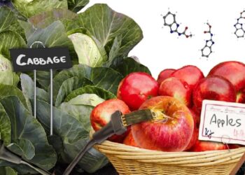 Cientistas criam detector de agrotóxico nos alimentos