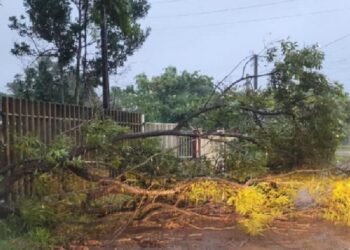RS sente efeitos de ciclone com queda de árvores, deslizamentos e falta de luz