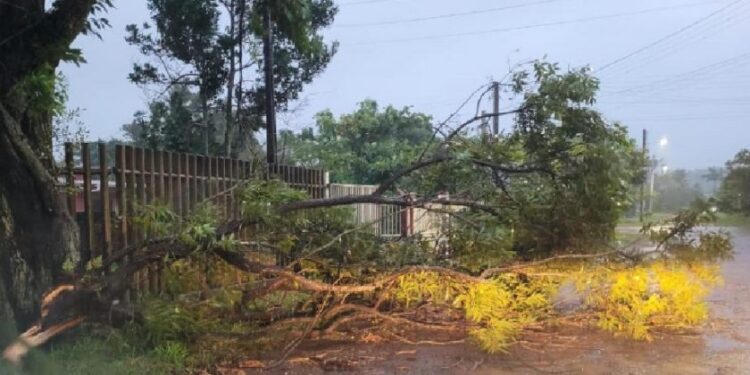 RS sente efeitos de ciclone com queda de árvores, deslizamentos e falta de luz