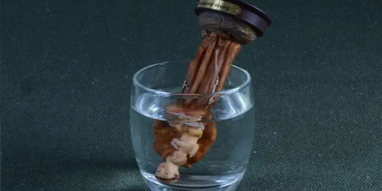 Dia de Santo Antônio: conheça simpatias para encontrar um novo amor