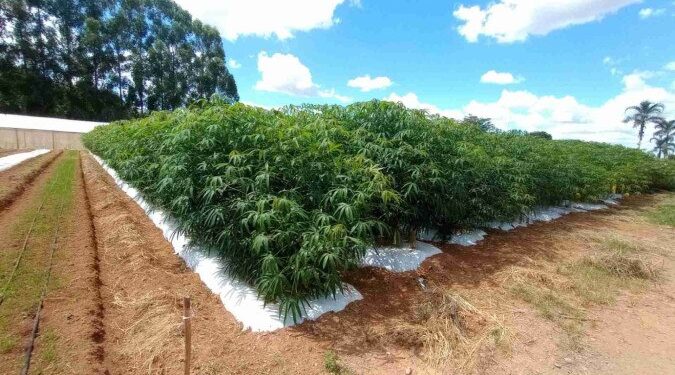 Bolsonaro inelegível: Moraes fez uma lista de mentiras do ex-presidente