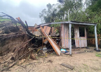 Ciclone extratropical: pessoa morre após queda de árvore sobre casa no RS, diz Defesa Civil