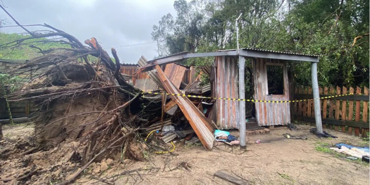 Ciclone extratropical: pessoa morre após queda de árvore sobre casa no RS, diz Defesa Civil