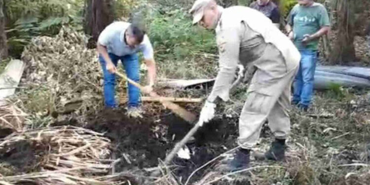 Mulher mata e enterra marido no Entorno após agressões e sexo forçado