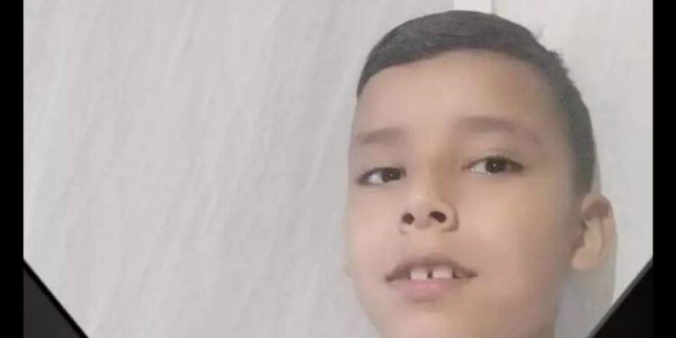 Menino de 12 anos morre após acidente com cavalo, em Santa Catarina