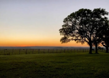 Sem compradores na primeira rodada: Fazendas de João Goulart, ex-presidente do Brasil, vão para a segunda fase de leilão