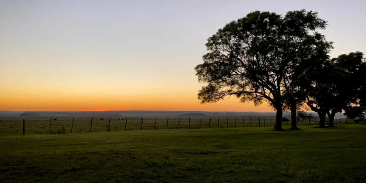 Sem compradores na primeira rodada: Fazendas de João Goulart, ex-presidente do Brasil, vão para a segunda fase de leilão