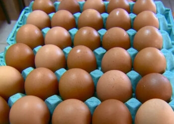 Preço do ovo de galinha sobe 23% em um ano