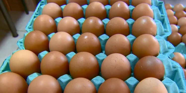 Preço do ovo de galinha sobe 23% em um ano