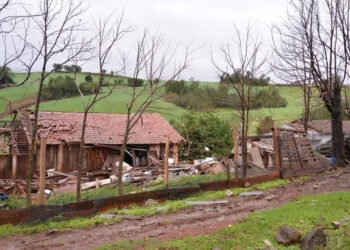 Chuva e vento provocam destelhamentos e quedas de árvores no RS
