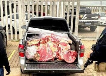 Homem é preso com 350 quilos de carne sem procedência e refrigeração na BR-116