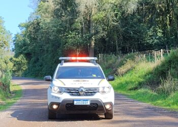 Ovelhas são furtadas no interior de Nova Roma do Sul