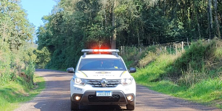 Ovelhas são furtadas no interior de Nova Roma do Sul