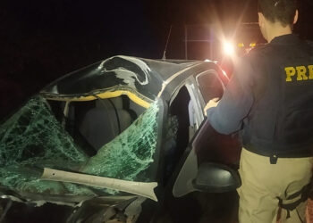 Motorista fica gravemente ferido após atropelar cavalo na BR 287