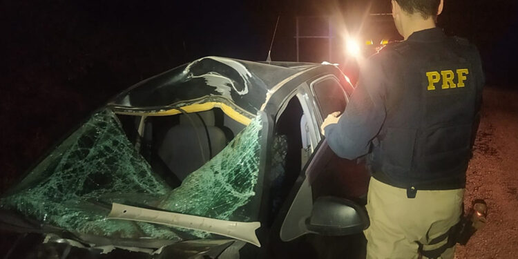 Motorista fica gravemente ferido após atropelar cavalo na BR 287