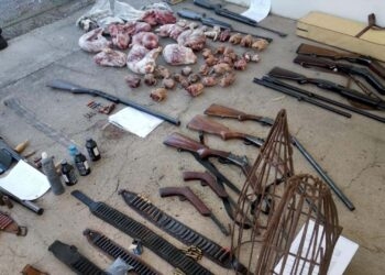 Polícia Civil apreende animais silvestres abatidos ilegalmente em Coronel Pilar