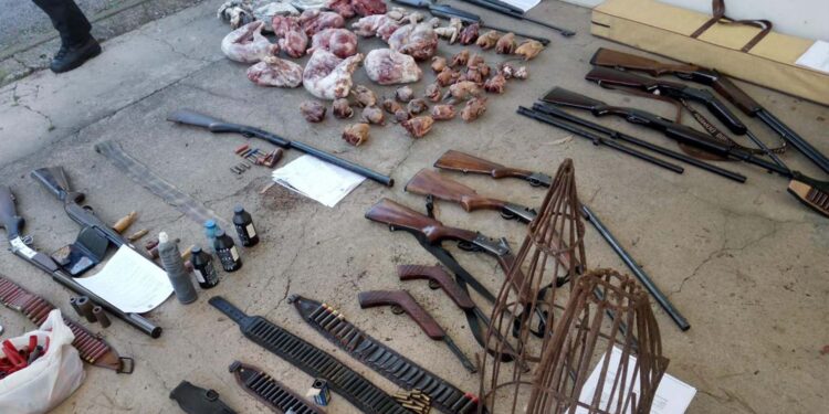 Polícia Civil apreende animais silvestres abatidos ilegalmente em Coronel Pilar