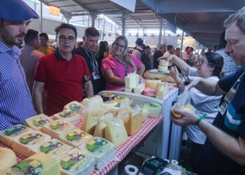 Pavilhão da Agricultura Familiar terá o maior número de expositores da história da Expointer