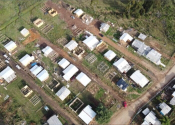 MPRS ajuíza ação contra prefeita, vice e servidor por loteamento clandestino em Bom Jesus
