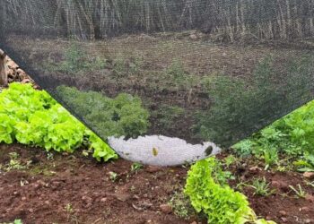 Muçum tem perda de R$ 19 milhões após temporal de granizo
