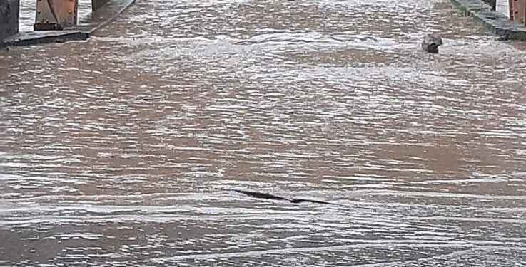 Ponte de Ferro entre Nova Roma do Sul e Farroupilha Interditada devido a Chuvas Intensas