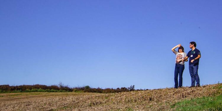 Fepam emite licença de instalação para o aeroporto de Vila Oliva