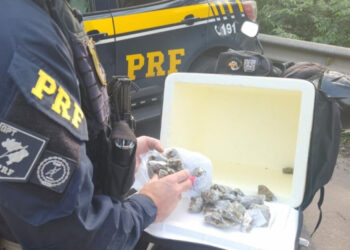 PRF prende traficante que fazia ‘delivery’ de maconha