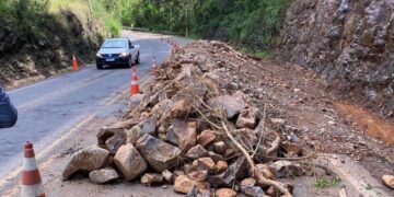 RS-122, entre Flores e Antônio Prado, segue no sistema pare e siga
