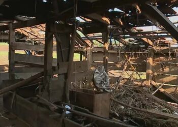 Agricultores lamentam perdas após passagem de ciclone pelo RS: ‘não tenho mais nada, preciso recomeçar do zero’