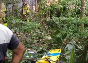 Queda de avião mata 12 pessoas em Rio Branco, no Acre