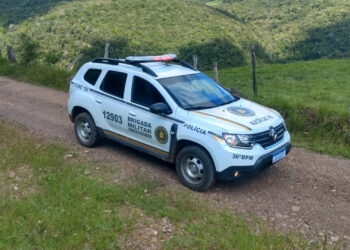 Homem de 50 anos Registra Furto de Cinquenta Galinhas em Sua Propriedade no Interior de Nova Roma do Sul
