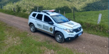 Homem de 50 anos Registra Furto de Cinquenta Galinhas em Sua Propriedade no Interior de Nova Roma do Sul