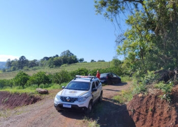 BM Registra Furto de Mil Quilos de Laranjas na Comunidade de Linha São Luis em Nova Roma do Sul