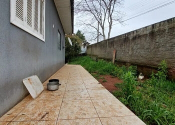 Homem é preso por matar dois cachorros da vizinha a tiros em Passo Fundo