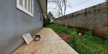 Homem é preso por matar dois cachorros da vizinha a tiros em Passo Fundo