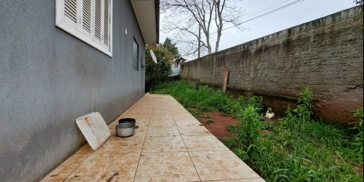 Homem é preso por matar dois cachorros da vizinha a tiros em Passo Fundo