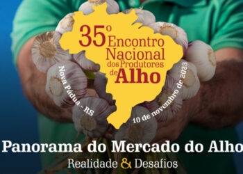 Encontro Nacional dos Produtores de Alho será realizado no dia 10 de novembro em Nova Pádua