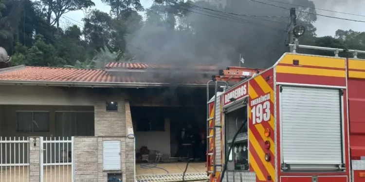 Homem é suspeito de incendiar e matar 6 gatos de ex-companheira em SC