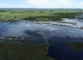 Barragem se rompe em Viamão e causa prejuízo de 50% em lavouras de assentamento