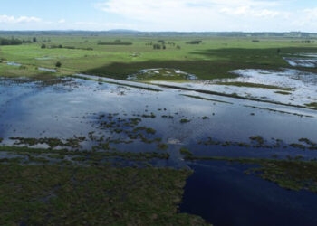 Barragem se rompe em Viamão e causa prejuízo de 50% em lavouras de assentamento
