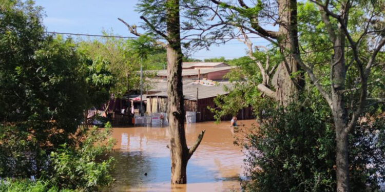 Cheia do Guaíba deixa moradores das ilhas fora de casa