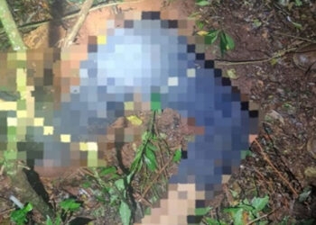 Homem é localizado morto dentro de toca de tatu no interior do RS